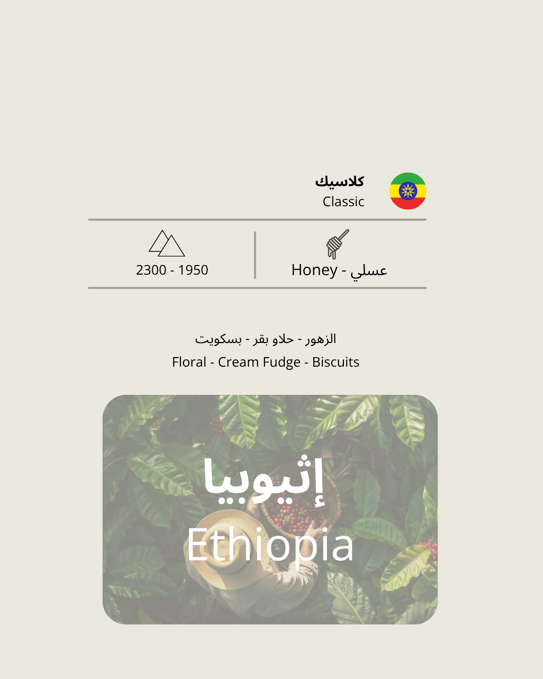 V60 إثيوبي