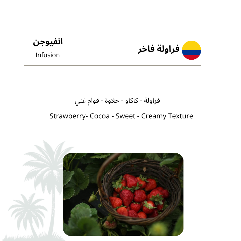 V60 فراولة